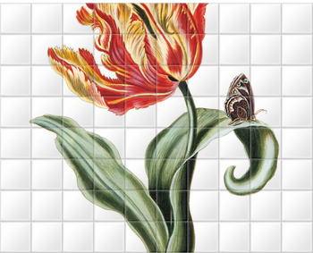 'Tulipa XXIV Parquit Monstre 145' Ceramic Tile Mural