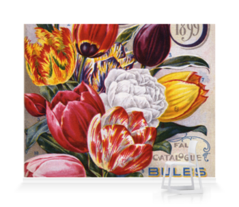 'Mayflower Tulips' Wallpaper Mural