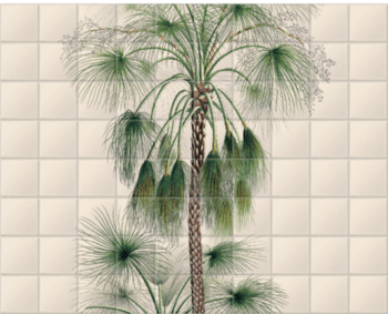 'Sand Palm [Livistona humilis]' Ceramic Tile Mural