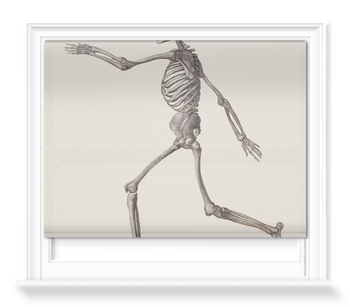 'Human Skeleton: Lateral View' Roller Blind
