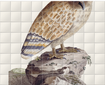'The Great Ceylonese Eared Owl' Ceramic Tile Mural