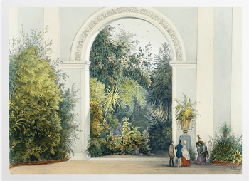 'Winter Garden Antoine' Art Prints