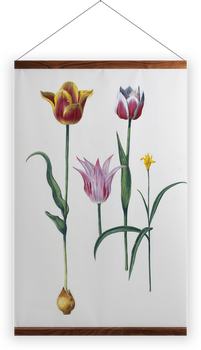 'Tulipa I' Wall Hanging