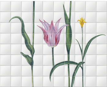 'Tulipa I' Ceramic Tile Mural