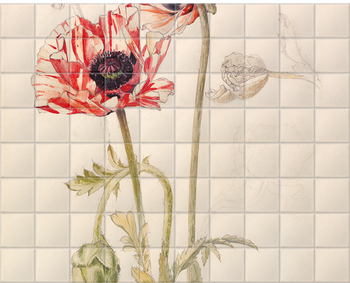 'Oriental Poppy' Ceramic Tile Mural