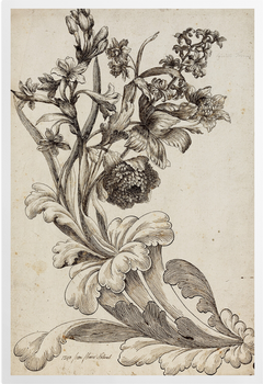 'Venetian Floral III' Art Prints