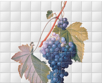 'Grapes ' Ceramic Tile Mural