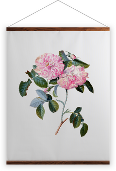 'Striped Monthly Rose' Wall Hangings