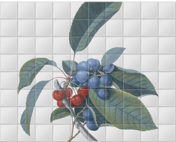 'Red Cherries and Damsons' Ceramic Tile Mural