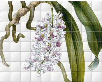 'Orchid Study' Ceramic Tile Mural