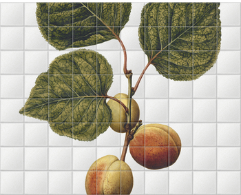 'Nectarines' Ceramic Tile Mural