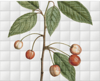 'Cherry' Ceramic Tile Mural