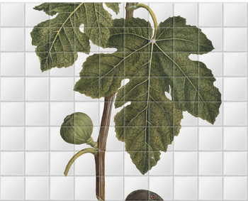 'Fig' Ceramic Tile Mural