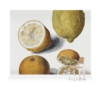 'Orange and Lemons' Wallpaper Mural