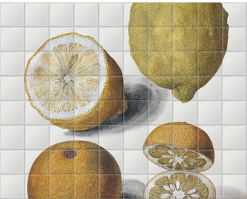 'Orange and Lemons' Ceramic Tile Mural