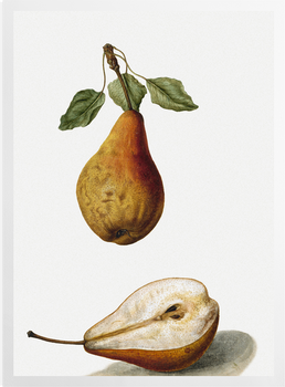 'Pears' Art Prints