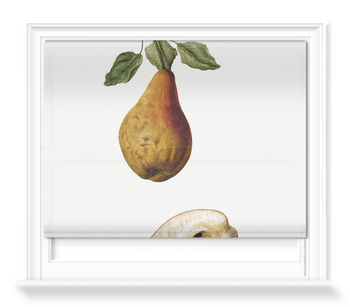 'Pears' Roller Blind