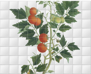 'Tomato' Ceramic Tile Mural