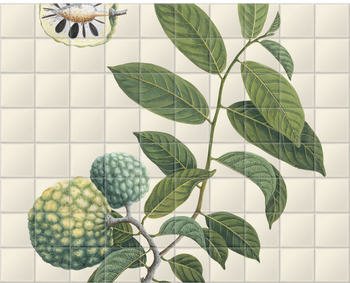 'Custard Apple' Ceramic Tile Mural