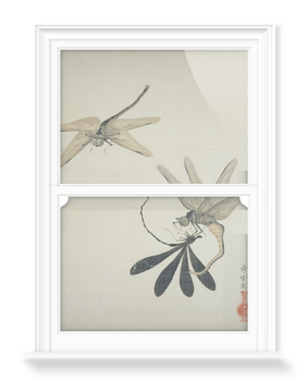 'Dragonflies' Decorative Window Films