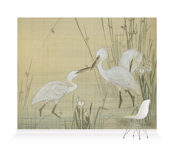 'Egrets amongst Reeds' Wallpaper Mural
