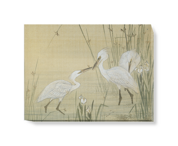 'Egrets Amongst Reeds' Canvas Wall Art