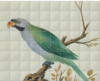 'Derbyan Parakeet' Ceramic Tile Mural