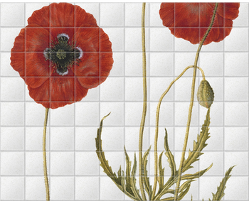'Corn Poppy' Ceramic Tile Mural