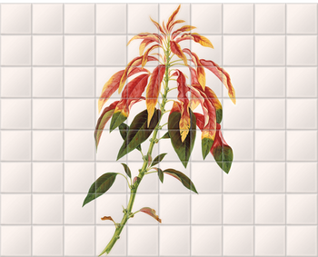 'Poinsettia flowering shrub' Ceramic Tile Mural