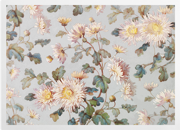 'Spiers Chrysanthemums' Art Prints