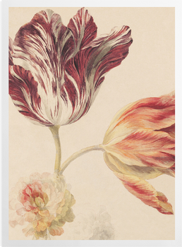 'Moser Tulips' Art Prints