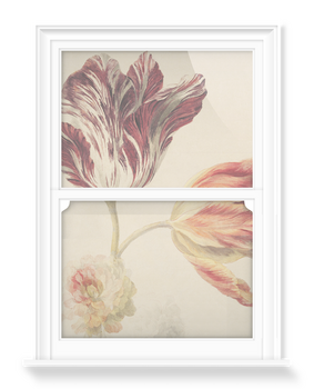 'Moser Tulips' Decorative Window Films