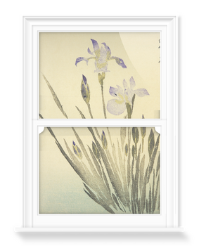 'Kitao Irises' Decorative Window Films