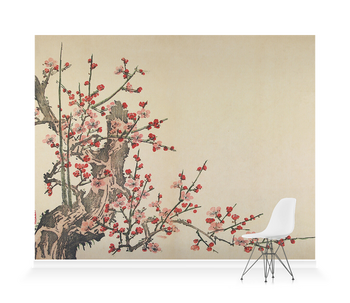 'Plum Blossom' Wallpaper Murals