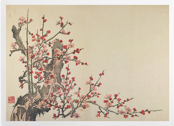 'Plum Blossom' Art Prints