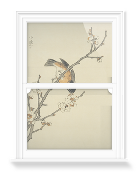 'Sakura' Decorative Window Films