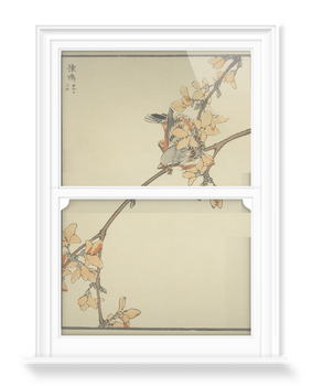 'Bird and Blossom (Bordered)' Decorative Window Films