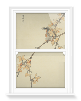 'Bird and Blossom' Decorative Window Films