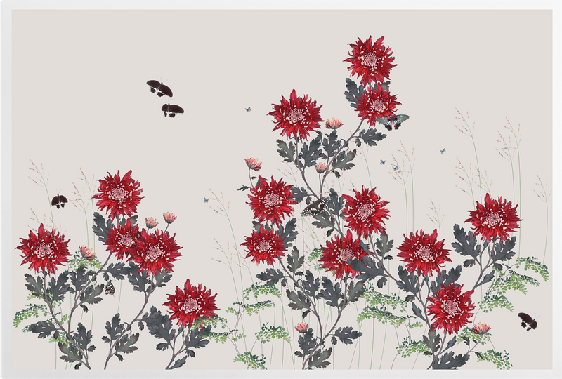 'Chrysanthemum - Flame' Art prints