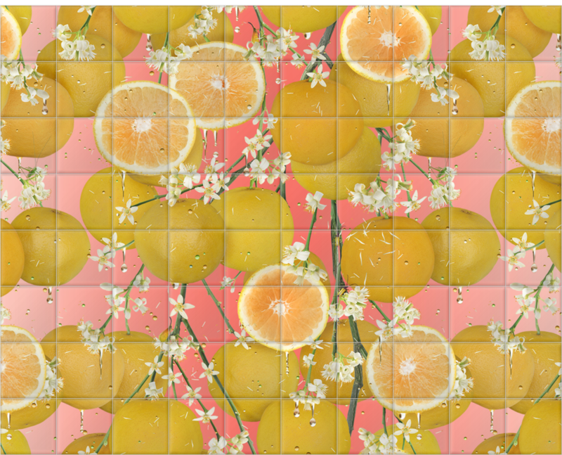 'Citrus Grapefruit' Ceramic Tile Mural