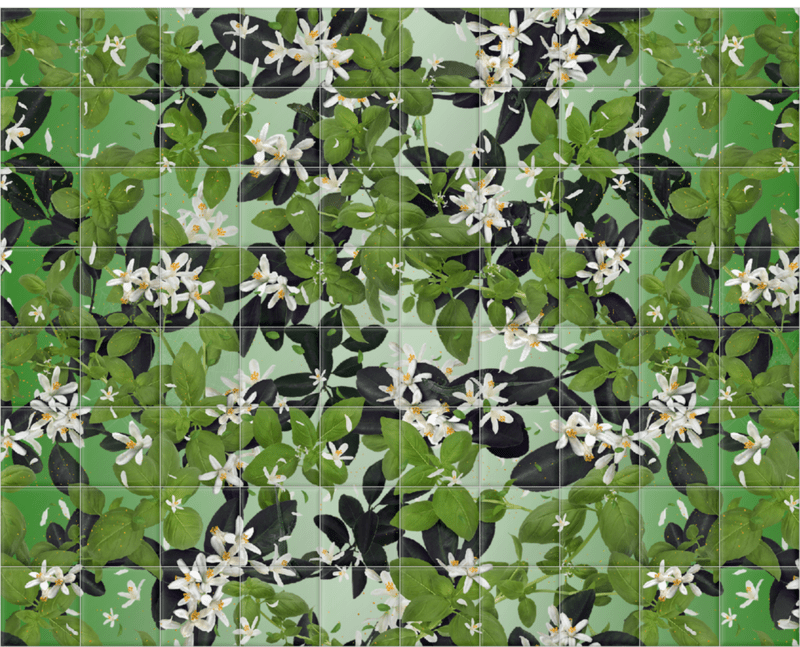 'Neroli Green' Ceramic Tile Mural