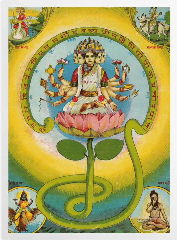 'Gayatri' Art Prints