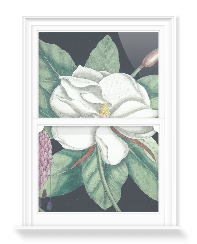 'Magnolia II' Decorative Window Films