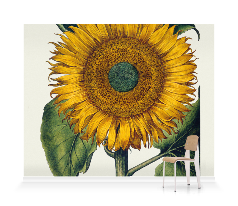 Painting Sunflower Field On Sunset Ai Generated Background, Sunset, Nature,  Sunflowers Background Image And Wallpaper for Free Download