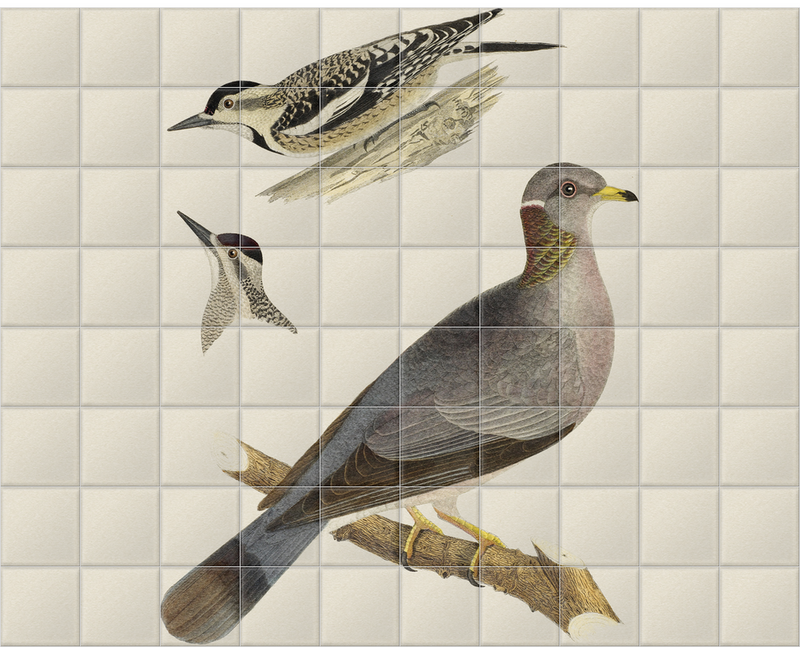 'Woodpeckers and Pigeon' Ceramic Tile Mural