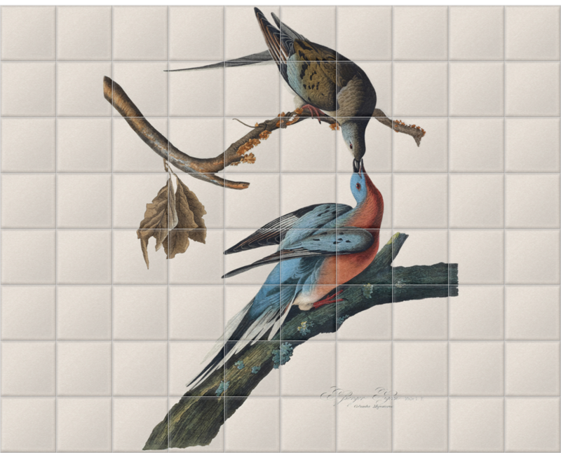 'Male and female Passenger pigeon' Ceramic Tile Mural