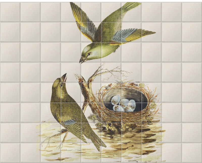 'Two Greenfinches, with their nest full of eggs' Ceramic Tile Mural