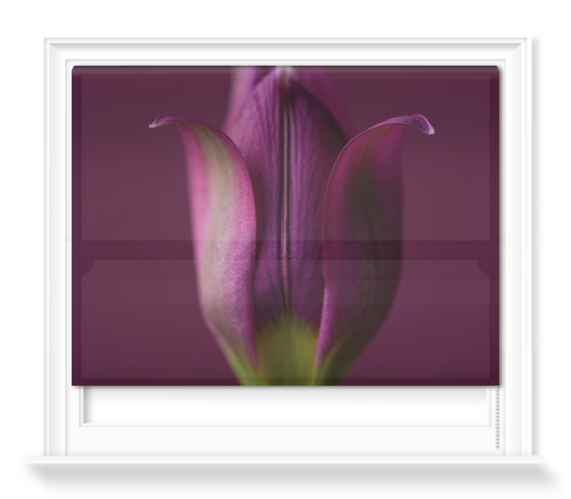 'Tulipa Humilis' Roller Blind
