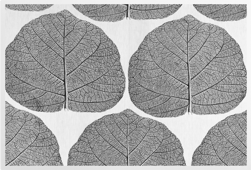 'Leaf by Terence Conran' Art Prints