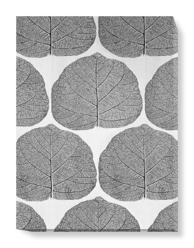 'Leaf' Canvas Wall Art by Terence Conran